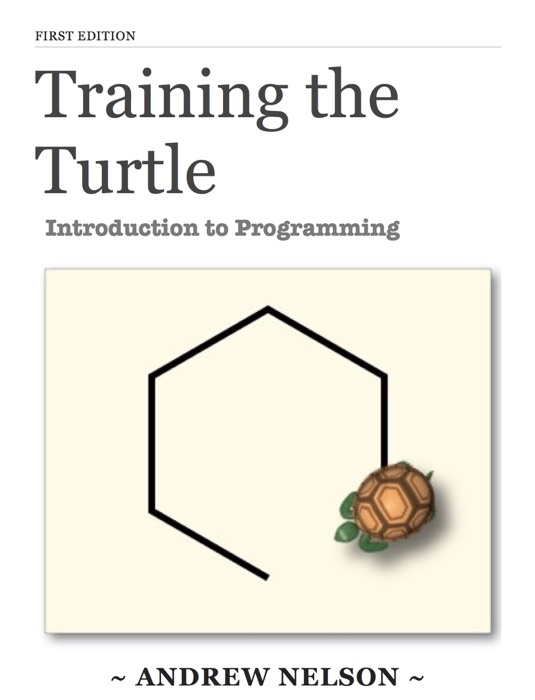 Training the Turtle