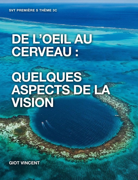 De l'oeil au cerveau