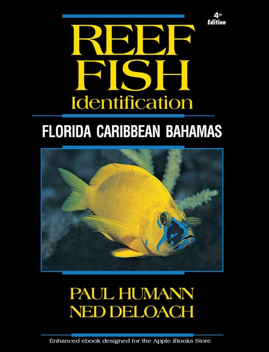 Reef Fish Identification - Florida Caribbean Bahamas