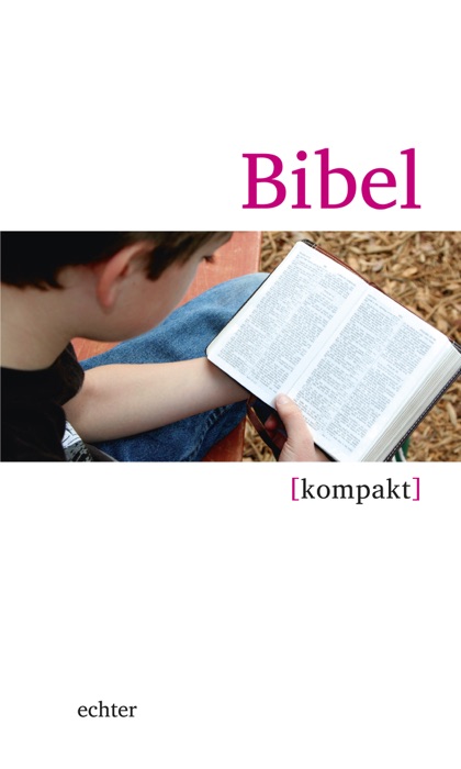 Bibel kompakt