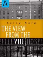Larry Karp - The View from the Vue artwork