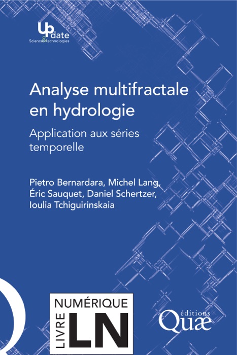 Analyse multifractale en hydrologie