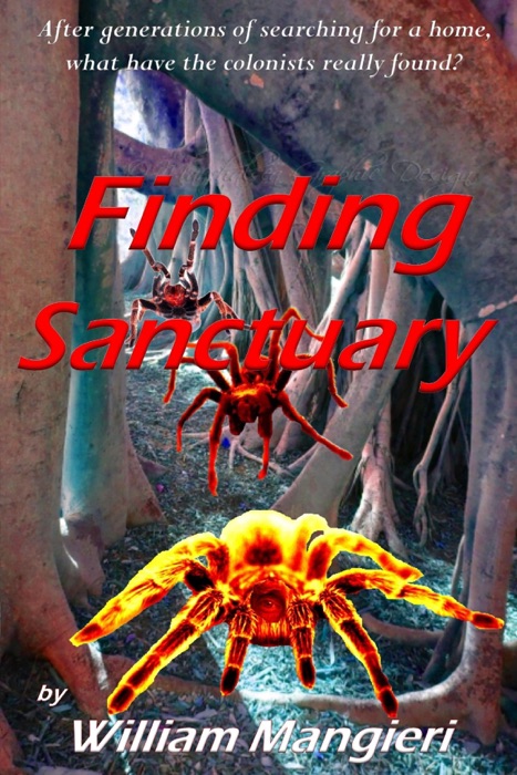 Finding Sanctuary