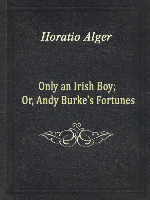 Only an Irish Boy; Or, Andy Burke's Fortunes