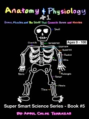 Anatomy & Physiology Part 1: Bones, Muscles, and the Stuff That Connects Bones and Muscles