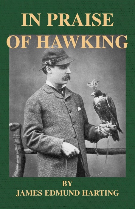 In Praise Of Hawking