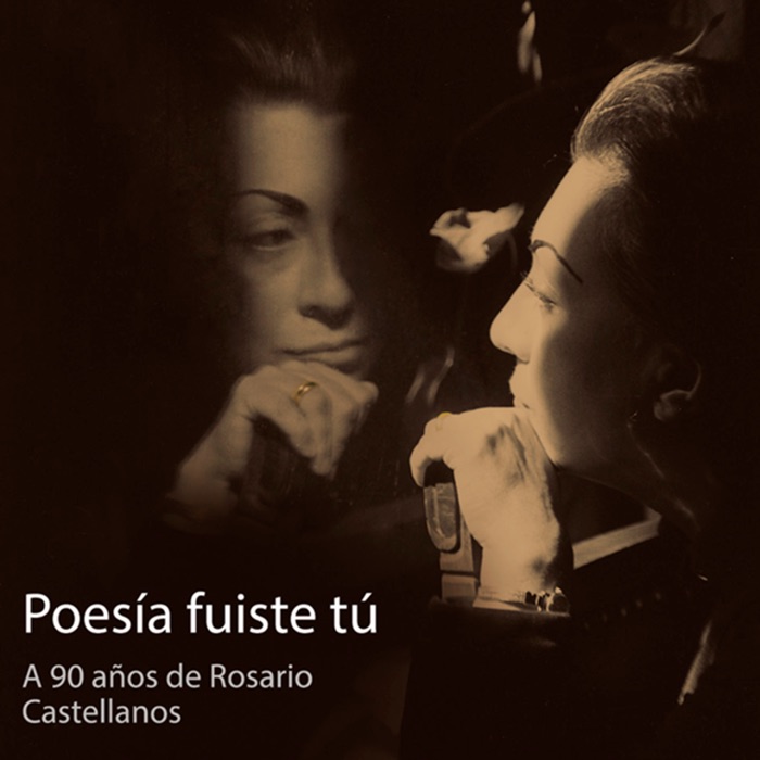 Poesía fuiste tú