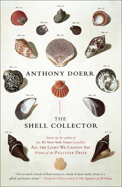 The Shell Collector