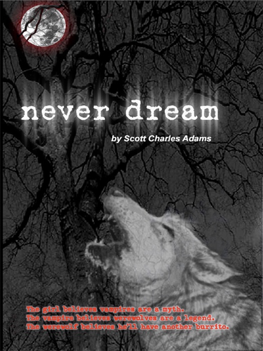 Never Dream