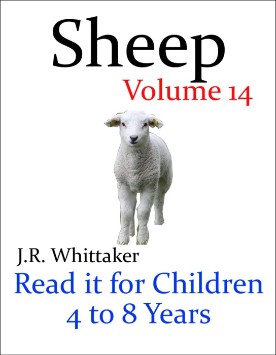 Sheep (Read It Book for Children 4 to 8 Years)