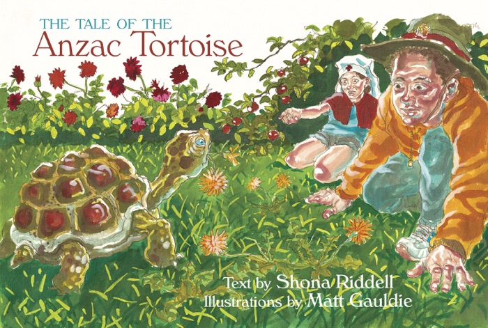The Tale of the Anzac Tortoise