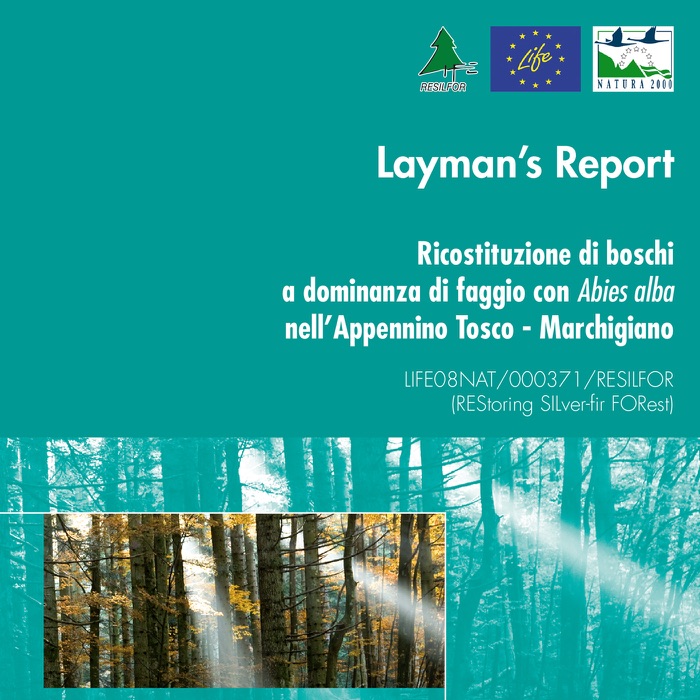 Layman’s Report