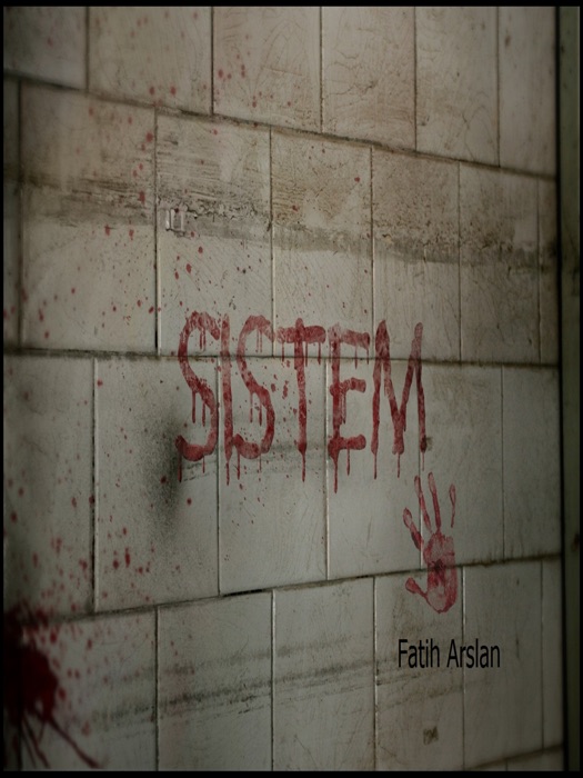 Sistem-Türkçe roman