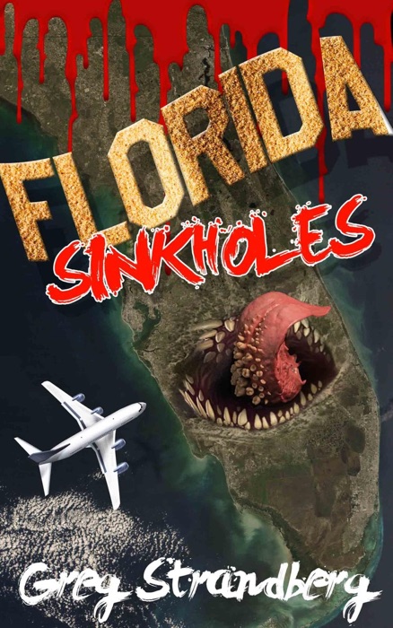 Florida Sinkholes