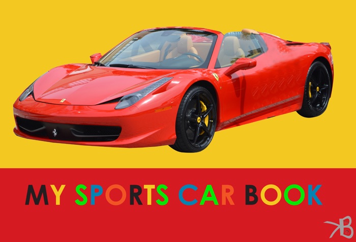 My sports car book