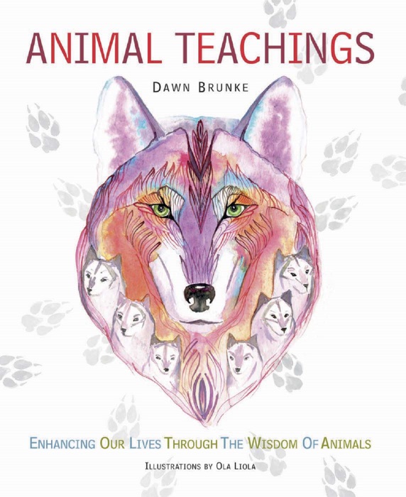 Animal Teachings