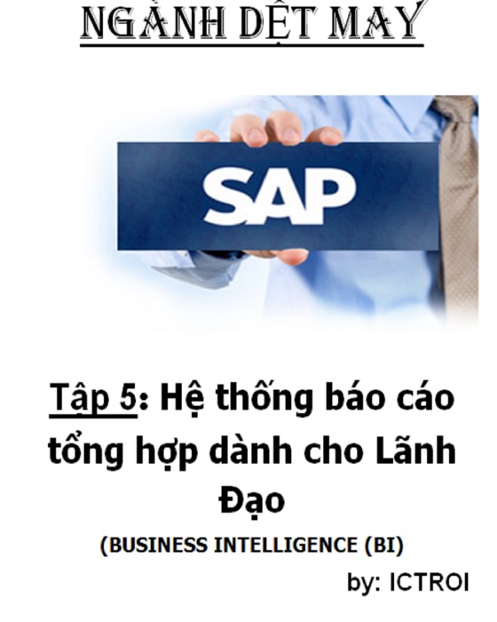 Hệ thống báo cáo tổng hợp dành cho Lãnh Đạo SAP AFS Ngành DỆT MAY