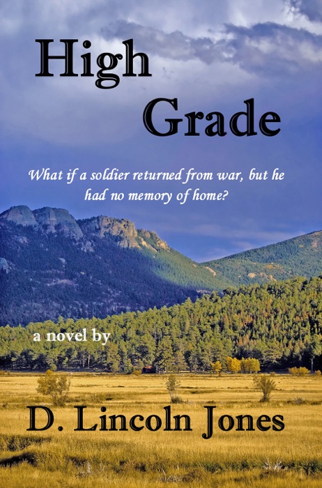 High Grade: A Novel