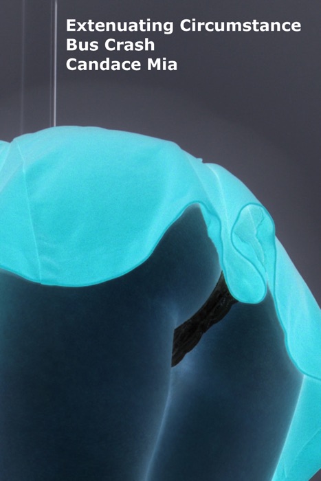 Extenuating Circumstance: Bus Crash