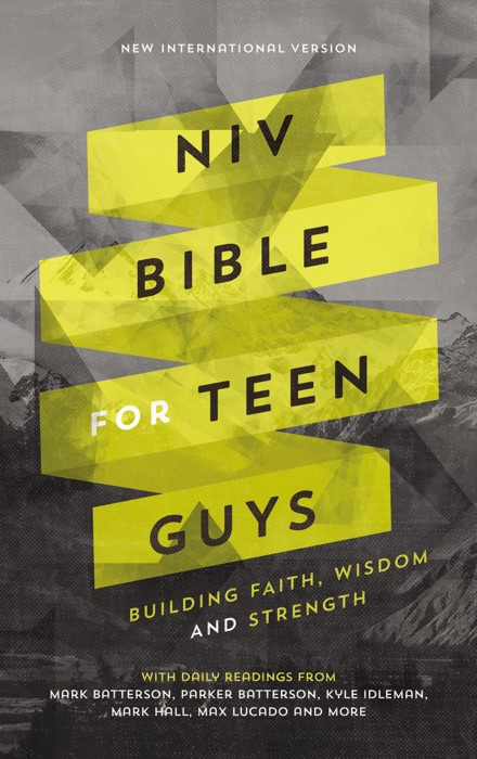 NIV, Bible for Teen Guys