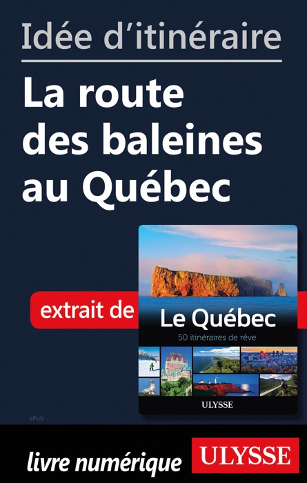 Idée d'itinéraire - La route des baleines au Québec