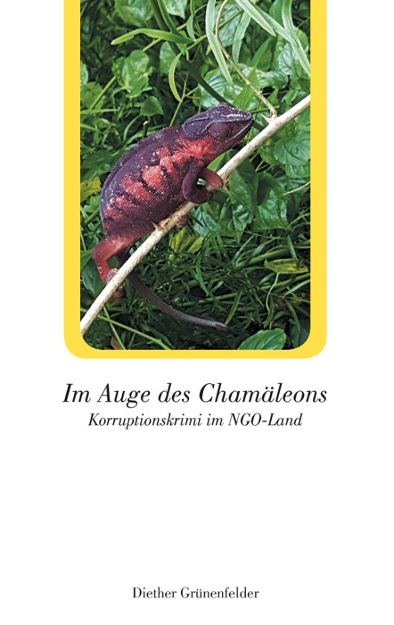 Im Auge des Chamäleons