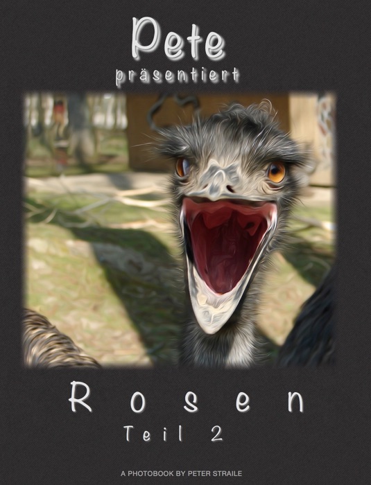 Pete präsentiert - Rosen Teil 2