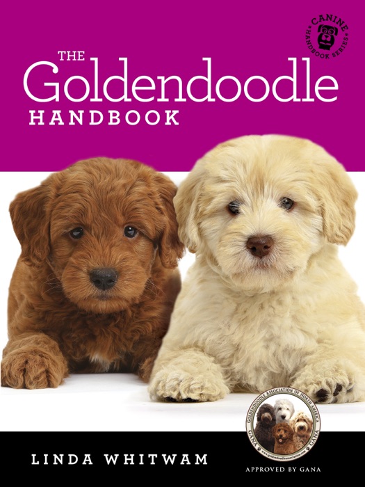 The Goldendoodle Handbook