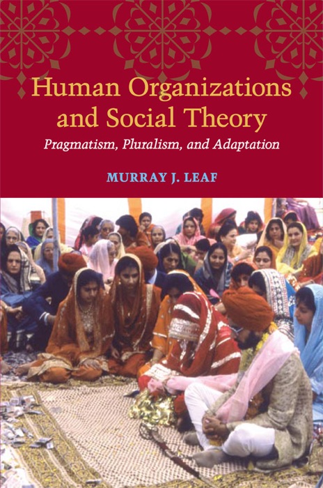 Human Organizations and Social Theory