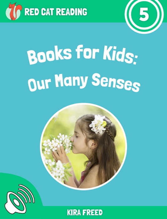 Books for Kids: The Many Senses