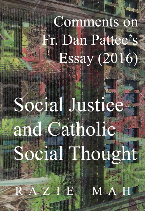 Comments on Fr. Dan Pattee’s Essay (2016) Social Justice and Catholic Social Thought