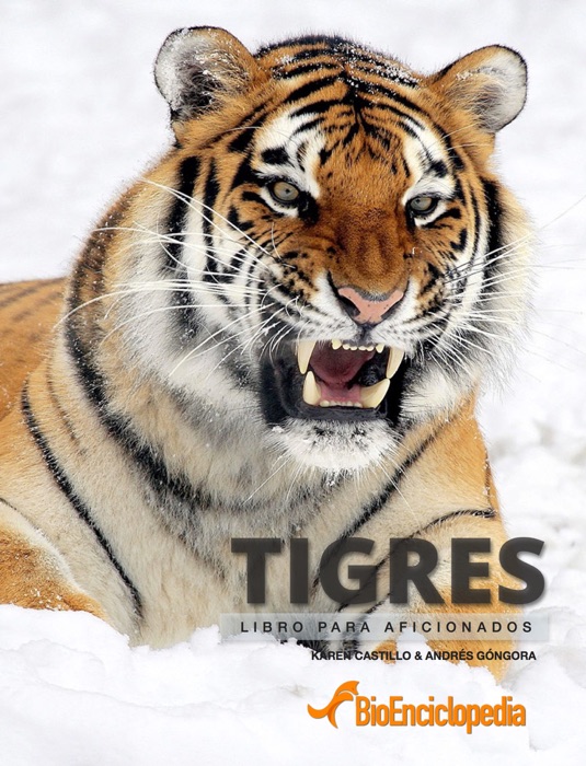 Tigres