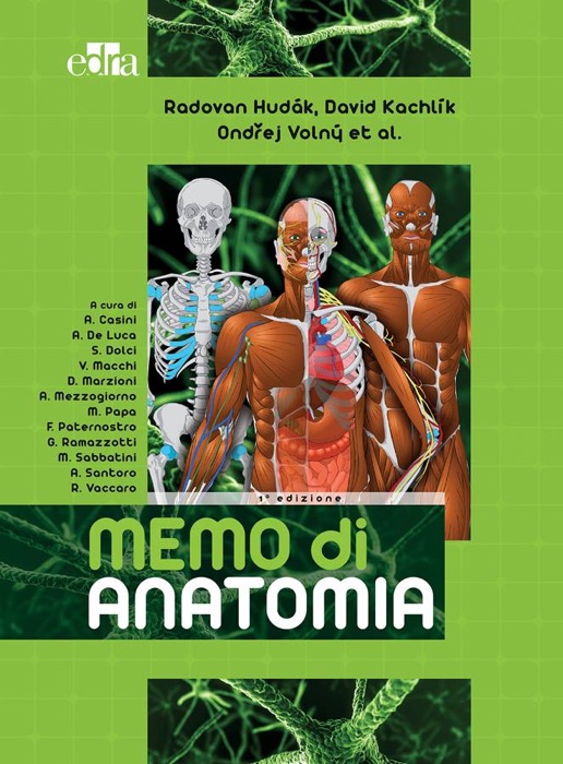 Memo di Anatomia