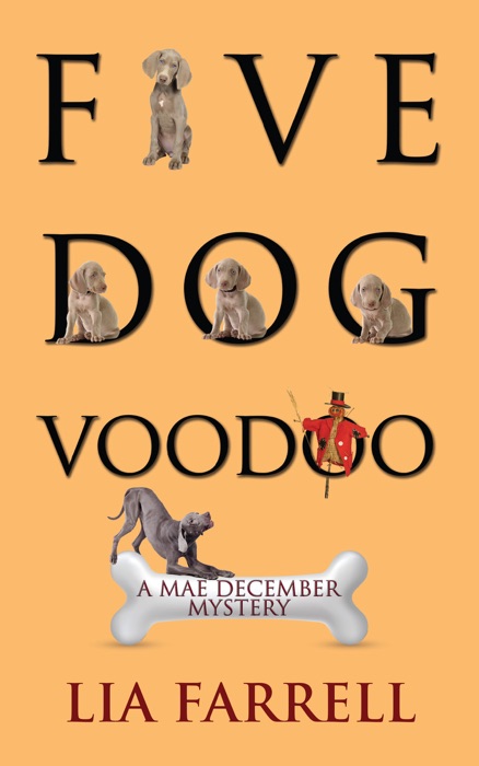 Five Dog Voodoo