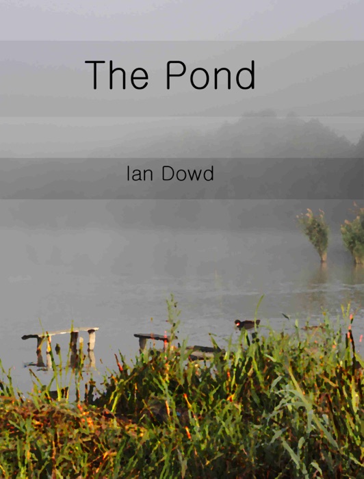 The Pond