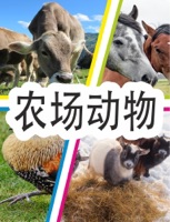 农场动物