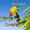 Animal Guesses