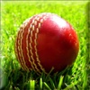 Cricket Hot News