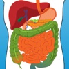 Biology: Digestion