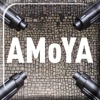 AMoYA 2011 EN