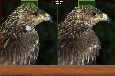 Animals Spot the Difference screenshot 3