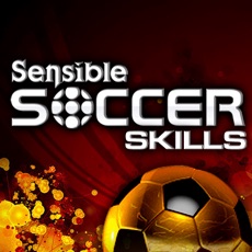 Activities of Sensible Soccer Skills