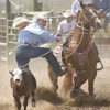 CALF AND STEER ROPERS— Finely Tuned Western Rodeo Cowboys