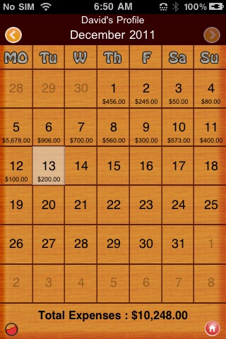 Family Expenses Lite