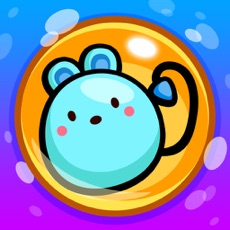 Activities of Bubble Catcher!