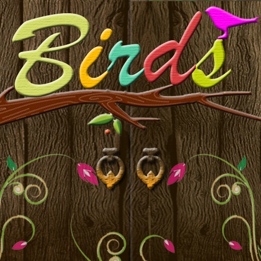 Birds Pro icon