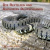 The Reptiles and Amphibians of Germany