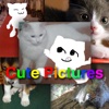 Cute Pictures