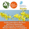 1300 piante: guida interattiva alla flora del Parco Nazionale delle Foreste Casentinesi, Monte Falterona e Campigna
