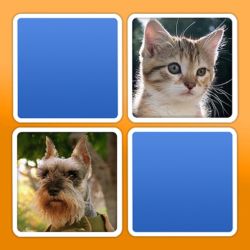 Get Match HD for iOS, iPhone, iPad Aso Report